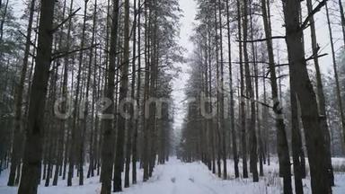 这条路延伸到白雪皑皑的森林中的天空
